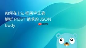 如何在 Iris 框架中正确解析 POST 请求的 JSON Body