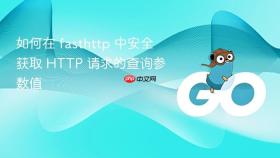 如何在 fasthttp 中安全获取 HTTP 请求的查询参数值