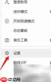 酷我音乐卡拉ok显示设置方法