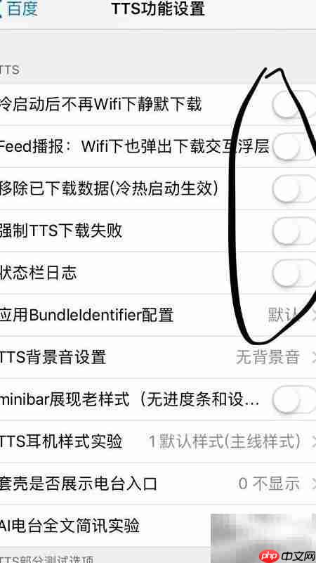 手机百度TTS设置技巧