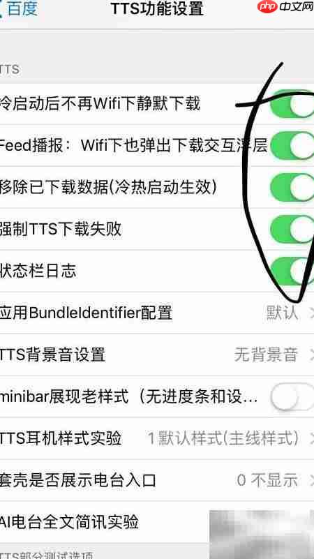 手机百度TTS设置技巧