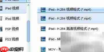 MP4转换器操作指南