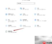 Windows传递优化设置方法