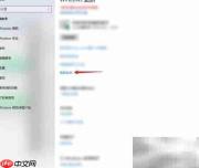 Windows传递优化设置方法