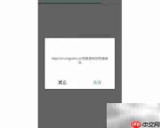全民捉鸡行动攻略