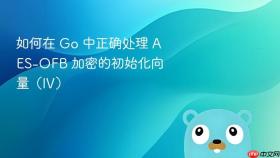 如何在 Go 中正确处理 AES-OFB 加密的初始化向量(IV)
