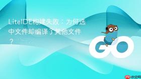 LiteIDE构建失败:为何选中文件却编译了其他文件?