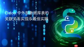 Odoo 中外部数据库表的关联关系实现与最佳实践
