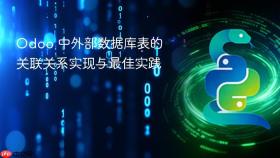 Odoo 中外部数据库表的关联关系实现与最佳实践