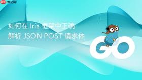 如何在 Iris 框架中正确解析 JSON POST 请求体