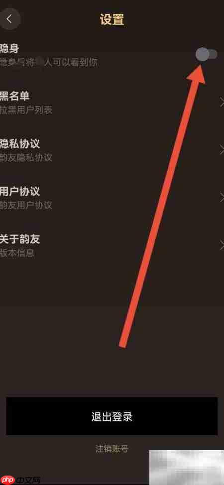 韵友隐身在线方法揭秘