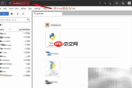 Jupyter Lab中文设置方法