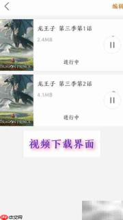 月亮播放器视频下载教程