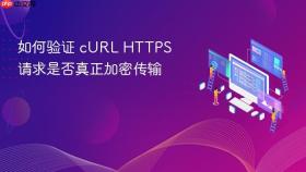 如何验证 cURL HTTPS 请求是否真正加密传输
