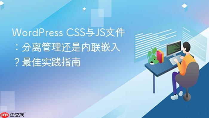 WordPress CSS与JS文件：分离管理还是内联嵌入？最佳实践指南
