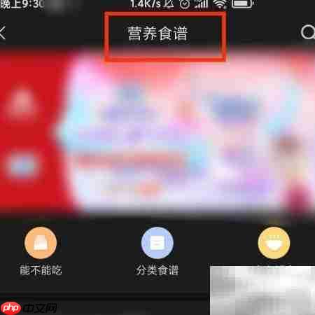 亲宝宝如何查看营养食谱