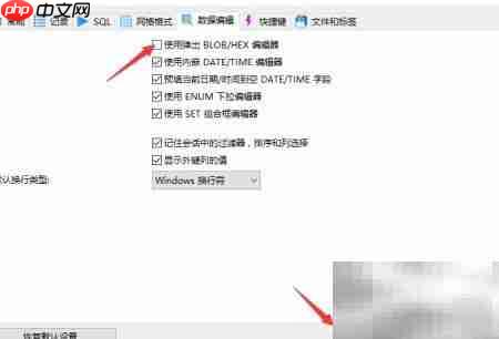 HeidiSQL关闭BLOB弹窗方法