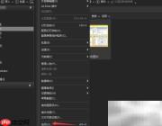 ACDSee 2019仅标签管理设置