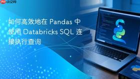 如何高效地在 Pandas 中使用 Databricks SQL 连接执行查询
