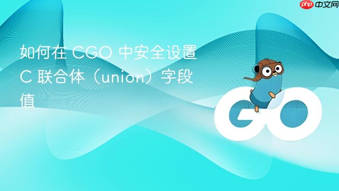 如何在 CGO 中安全设置 C 联合体(union)字段值