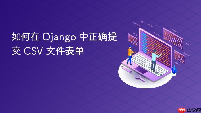 如何在 Django 中正确提交 CSV 文件表单