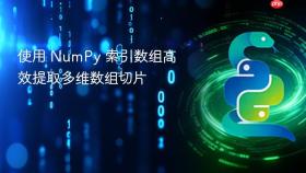 使用 NumPy 索引数组高效提取多维数组切片

