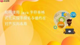 如何使用 Java 字符串格式化实现字段名与值的左对齐双列布局
