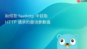 如何在 fasthttp 中获取 HTTP 请求的查询参数值
