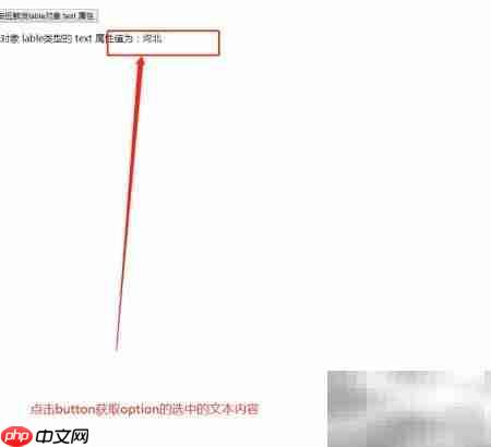 option对象text属性用法解析