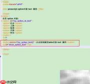 option对象text属性用法解析