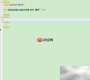 option对象text属性用法解析