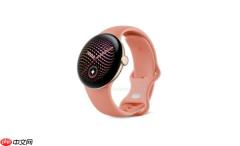 谷歌 Pixel Watch 5 关键规格曝光：内存升级至 3GB