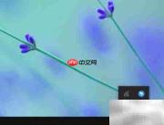 爱奇艺下载完自动关机设置