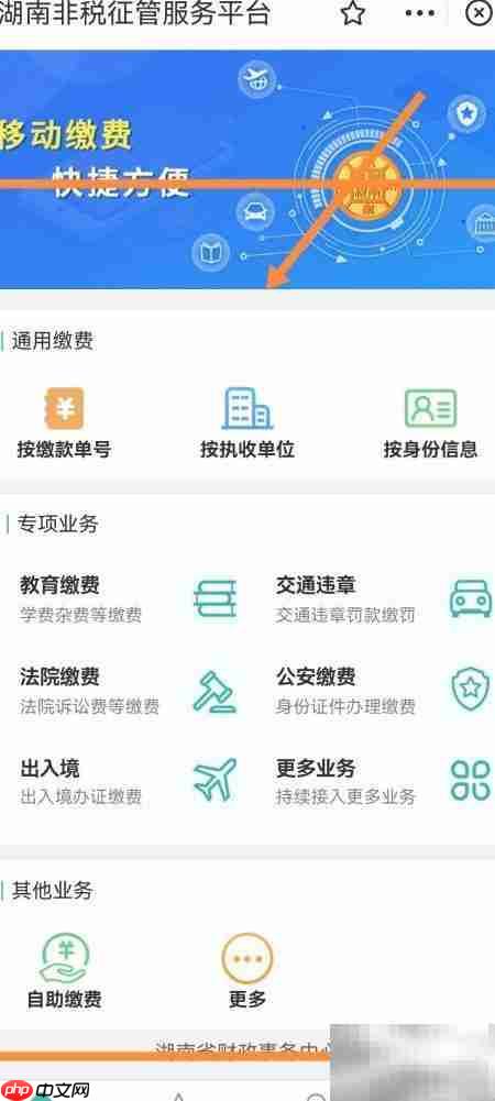 支付宝如何缴湖南非税费用