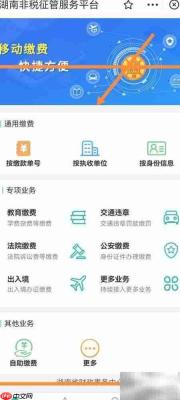 支付宝如何缴湖南非税费用
