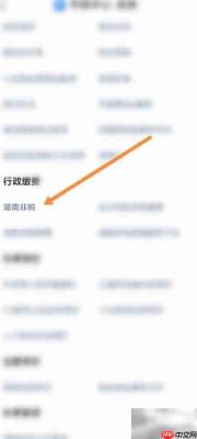 支付宝如何缴湖南非税费用