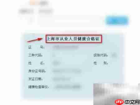 上海健康证在线查询