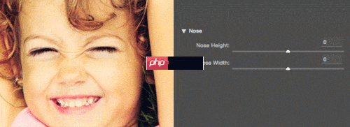 Photoshop 2015.5新功能速览