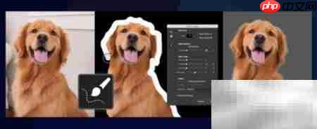 Photoshop 2015.5新功能速览