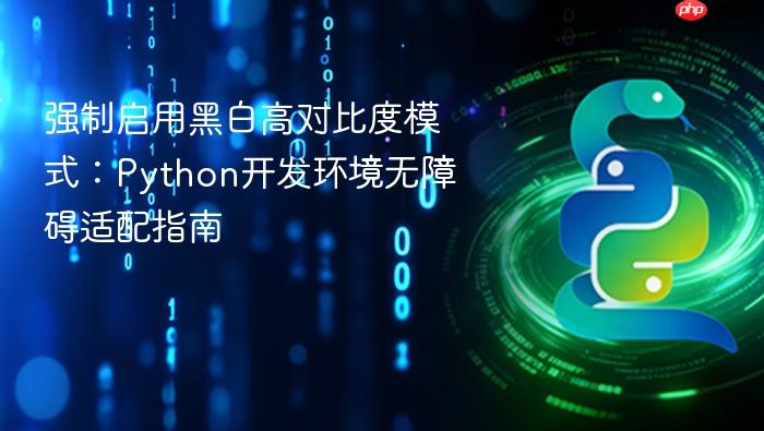 强制启用黑白高对比度模式：Python开发环境无障碍适配指南
