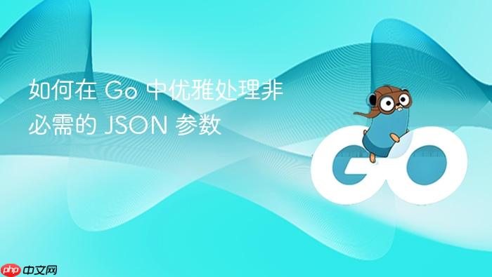 如何在 Go 中优雅处理非必需的 JSON 参数
