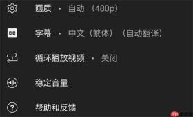油管youtube怎么翻译成中文字幕