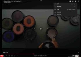 油管youtube怎么翻译成中文字幕