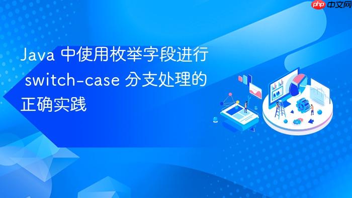 Java 中使用枚举字段进行 switch-case 分支处理的正确实践
