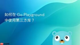 如何在 Go Playground 中使用第三方库？
