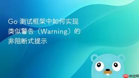 Go 测试框架中如何实现类似警告(Warning)的非阻断式提示