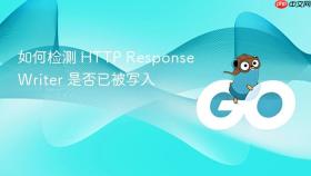 如何检测 HTTP ResponseWriter 是否已被写入
