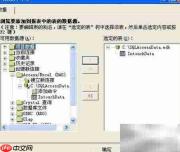 VB连接Access实现水晶报表