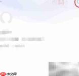 东风雪铁龙APP性别修改指南