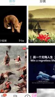 绚铃来电秀设置方法